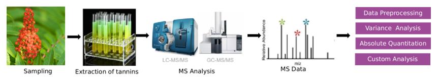 Tannins analysis service workflow