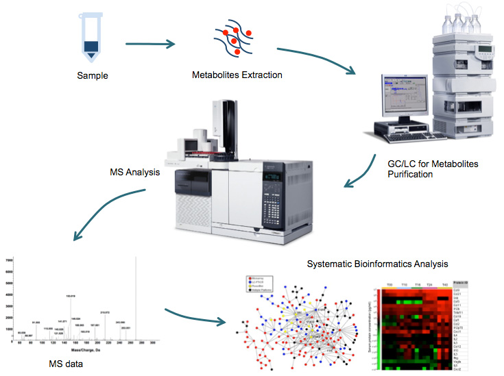 Targeted Metabolomics Service