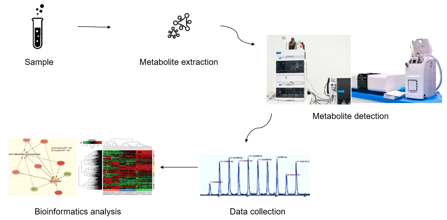 Terpenoids analysis service workflow.