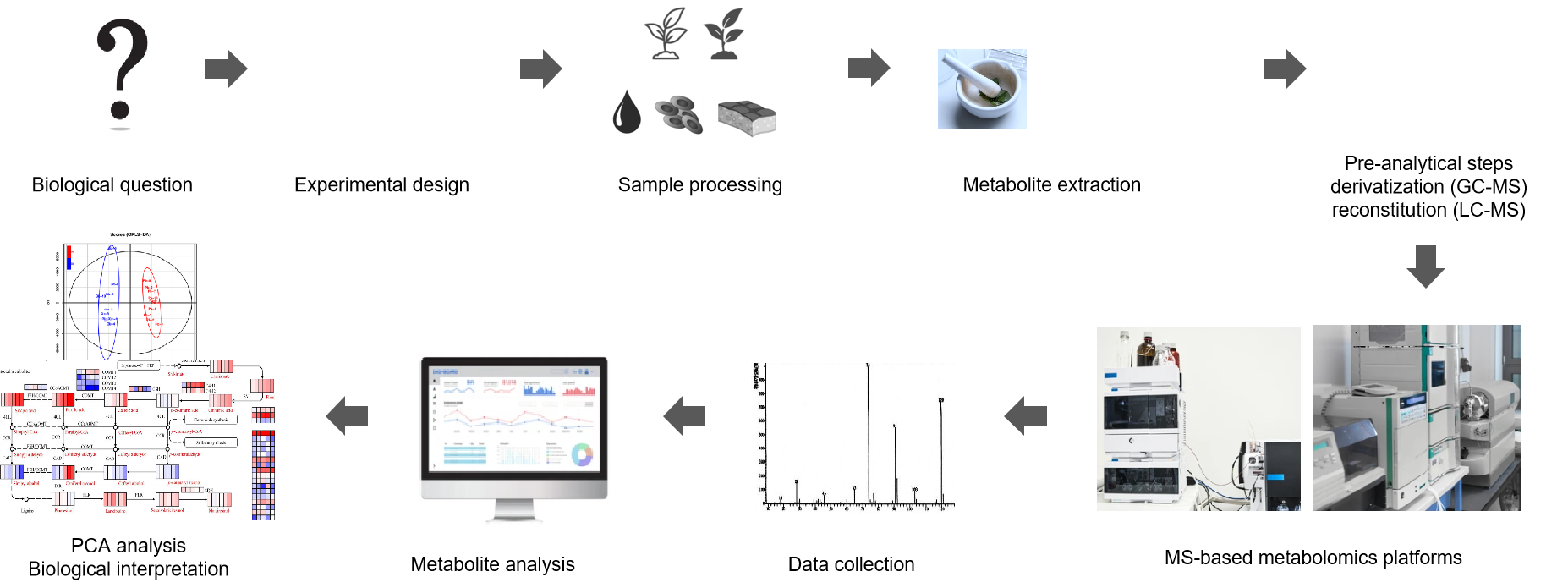  The technical route of targeted metabolomics of toxins