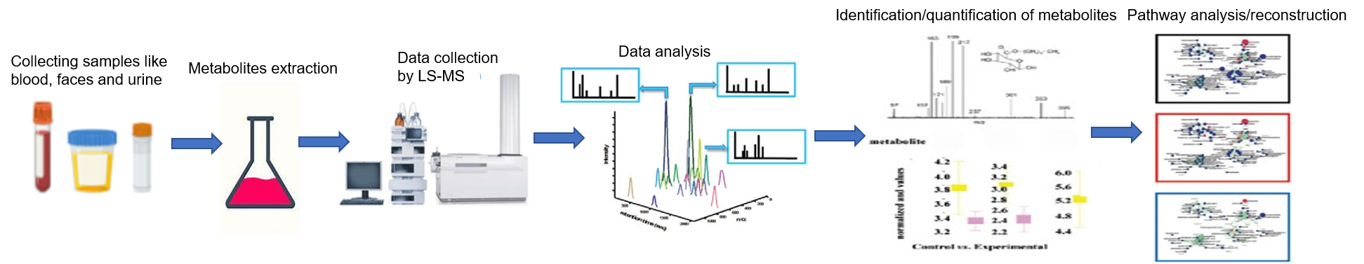Untargeted Metabolomics Service