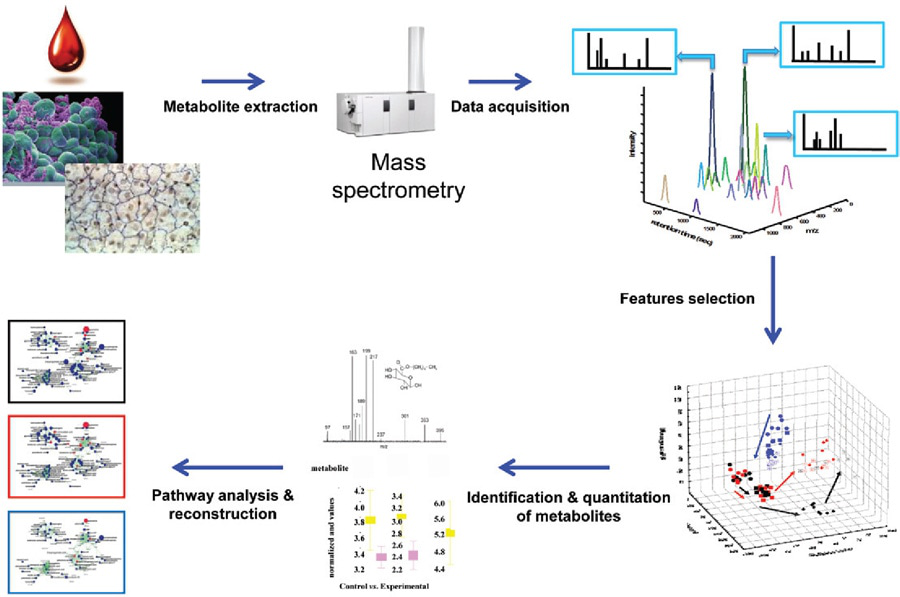 Workflow for untargeted metabolomics service