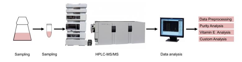 Vitamin E analysis service workflow.