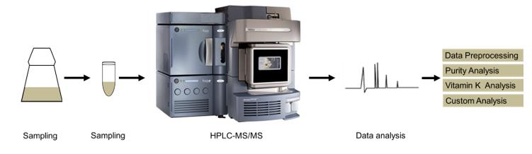 Vitamin K analysis service workflow.