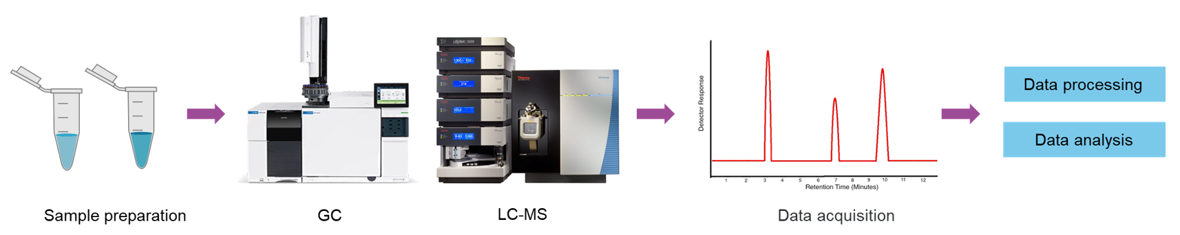 The workflow of acetic acid analysis