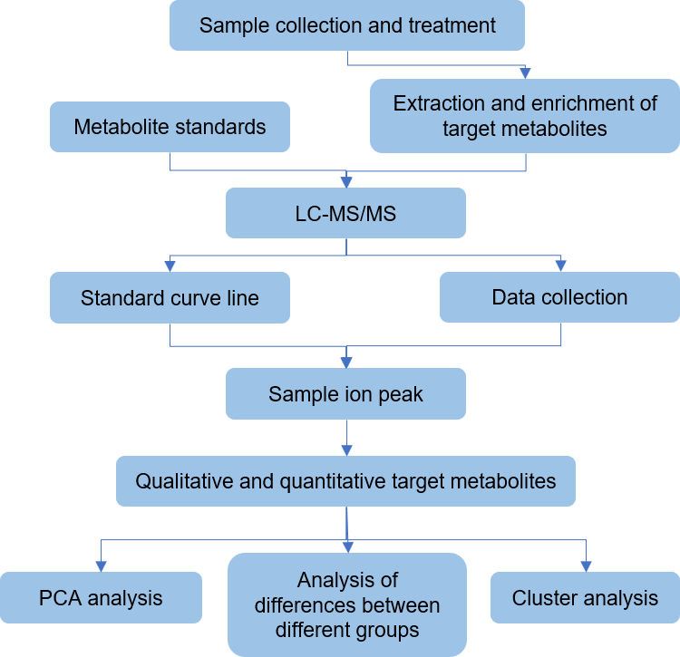 The overall workflow of alpha-linolenic acid metabolism