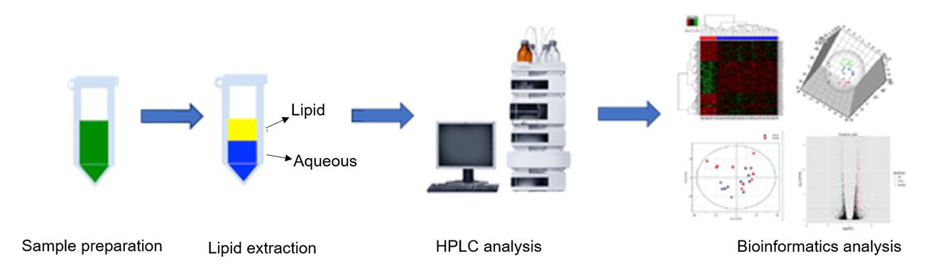 The overall workflow of biosynthesis of unsaturated fatty acids
