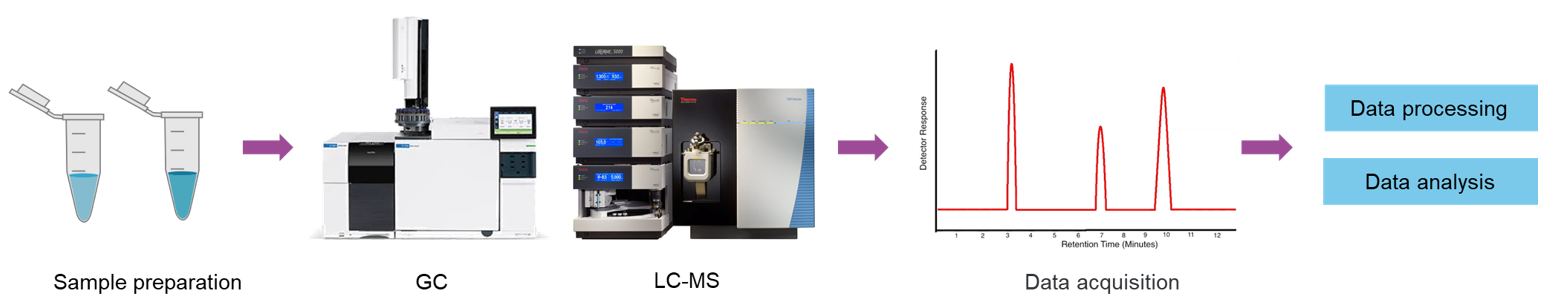 The workflow of butyric acid analysis