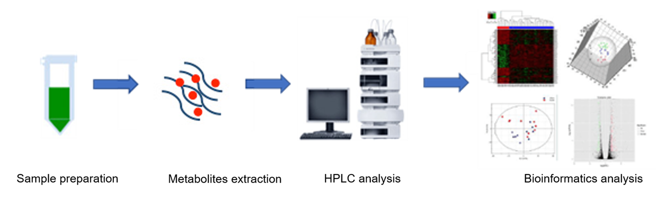The overall workflow of C-glycosylated flavonoids