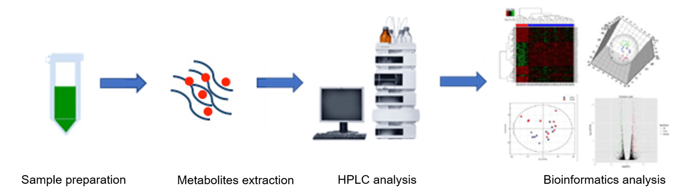 The overall workflow of metabolism of cofactors and vitamins