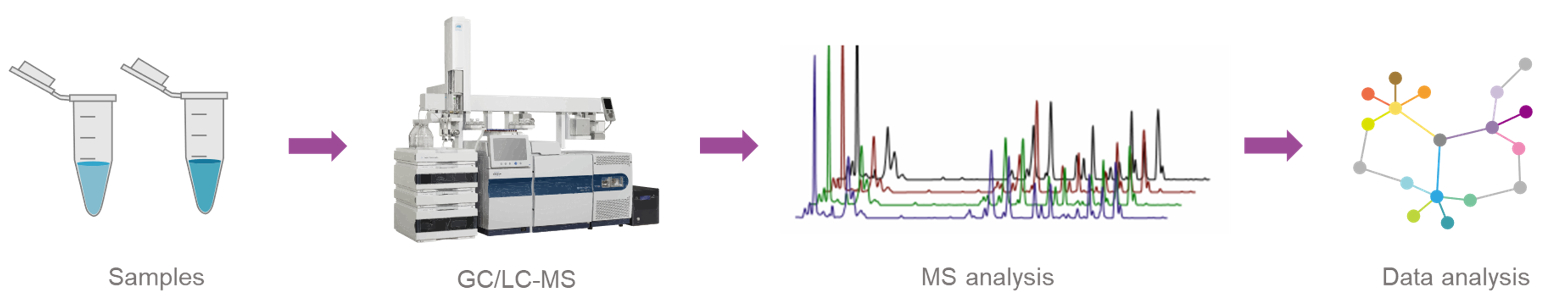 The workflow of free fatty acids analysis