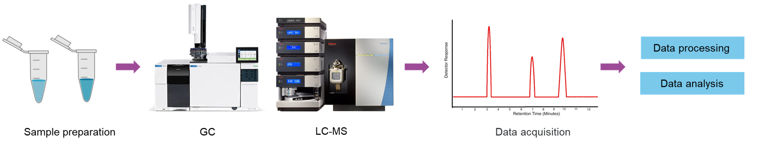 The workflow of isobutyric acid analysis