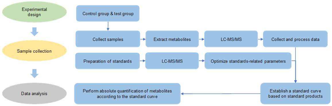 L-alanine analysis service workflow.