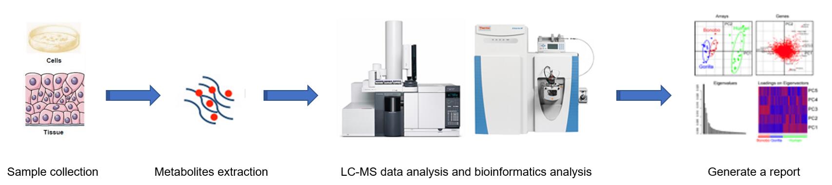 A typical workflow for MS-based Glycosylphosphatidylinositol in different complex biological samples.