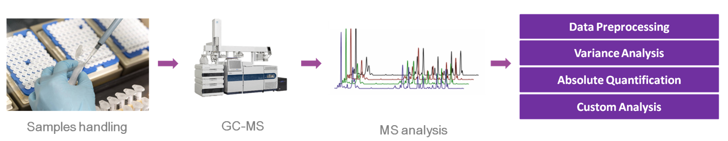 Lauric acid analysis service workflow