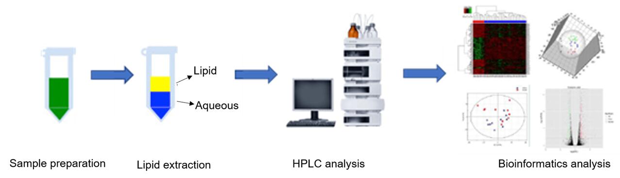 The overall workflow of linoleic acid metabolism