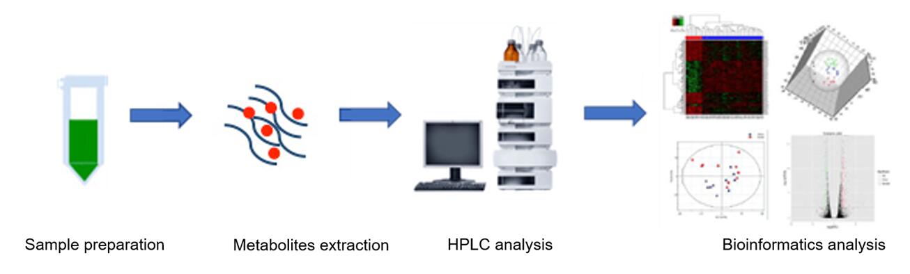 The overall workflow of nucleotide metabolism 