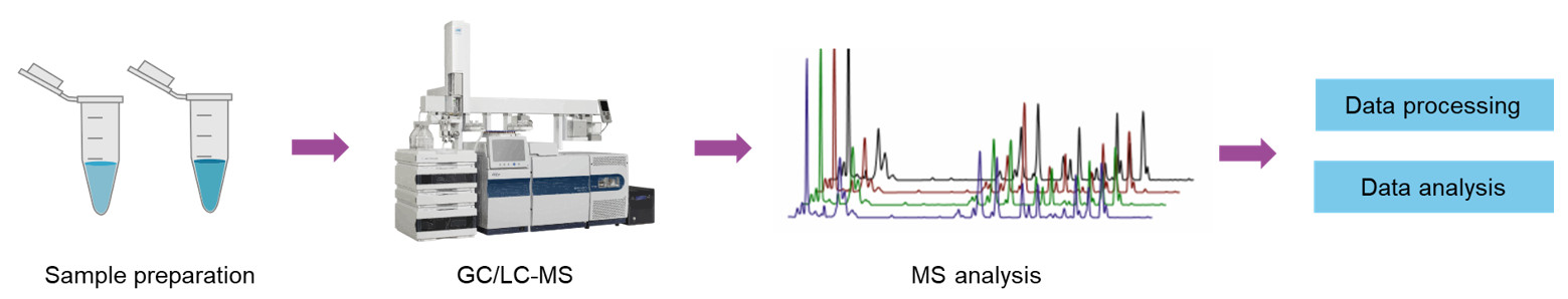 The workflow of propionic acid analysis
