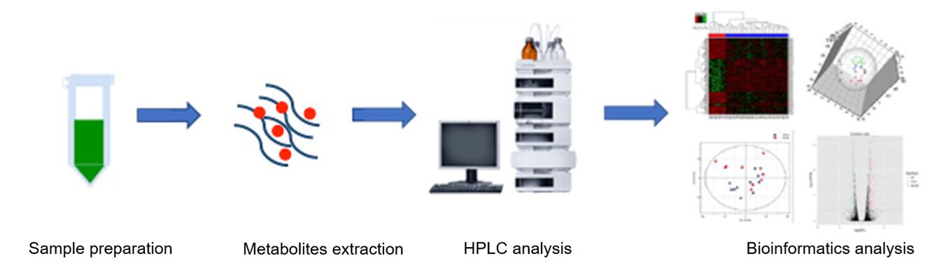 The overall workflow of purine metabolism
