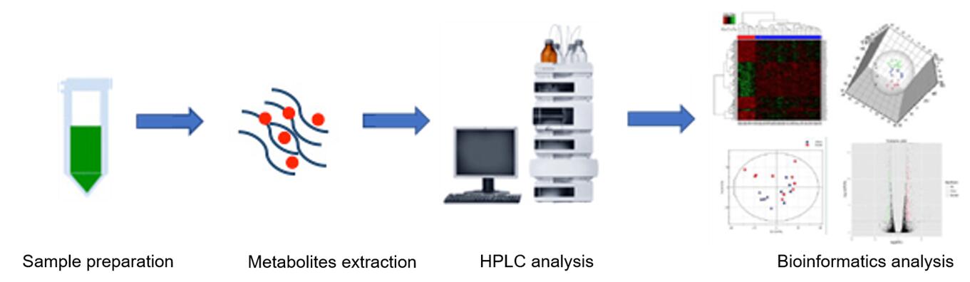 The overall workflow of pyrimidine metabolism