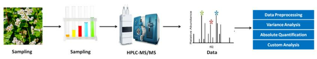 Quercetin Analysis Service
