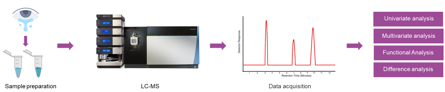 The workflow of untargeted metabolomics analysis