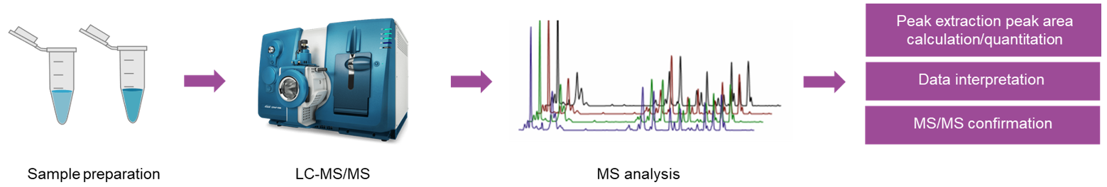 The workflow of target metabolomics analysis