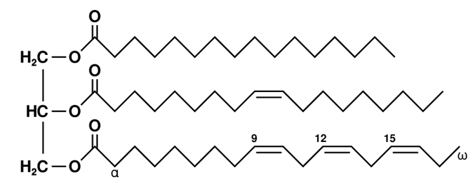Triglyceride Analysis Service