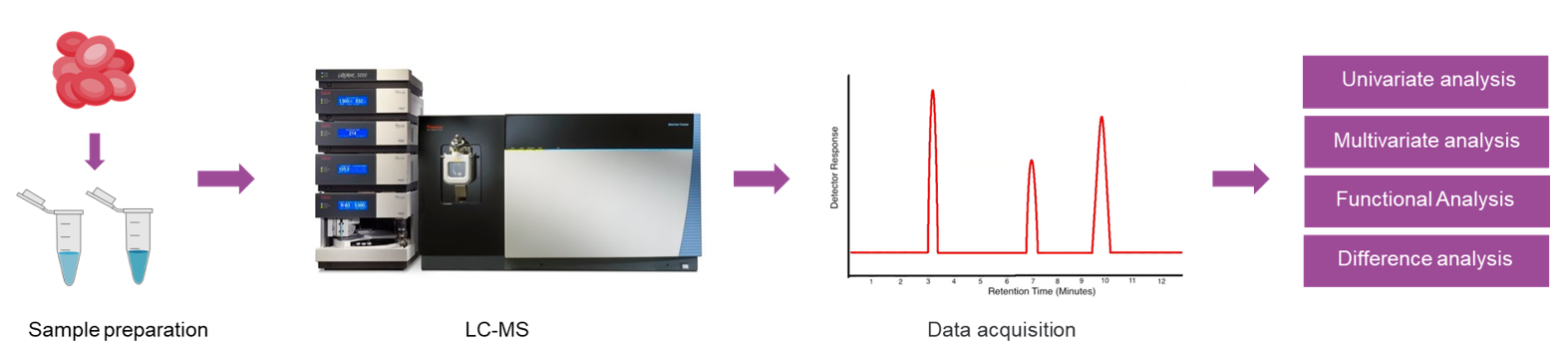 The workflow of untargeted metabolomics analysis