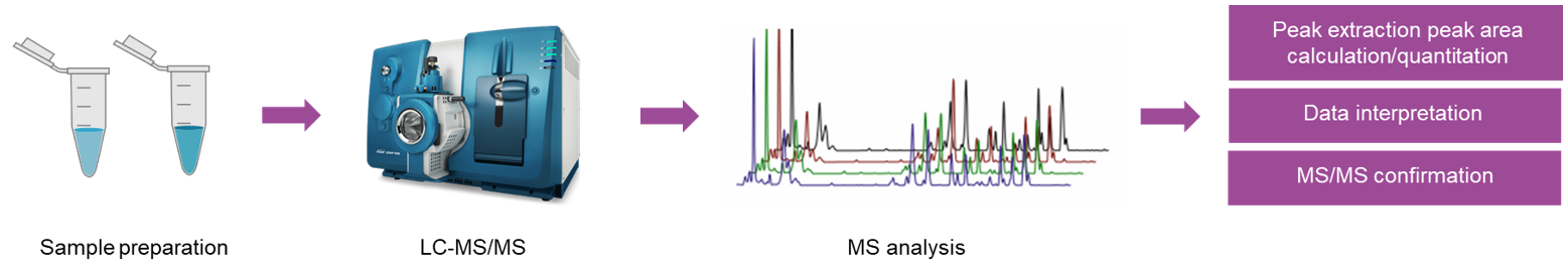 The workflow of target metabolomics analysis